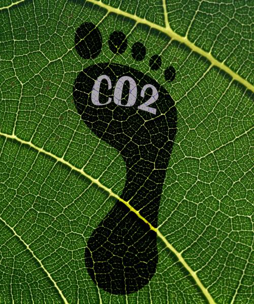 A CO2 footprint on a leaf