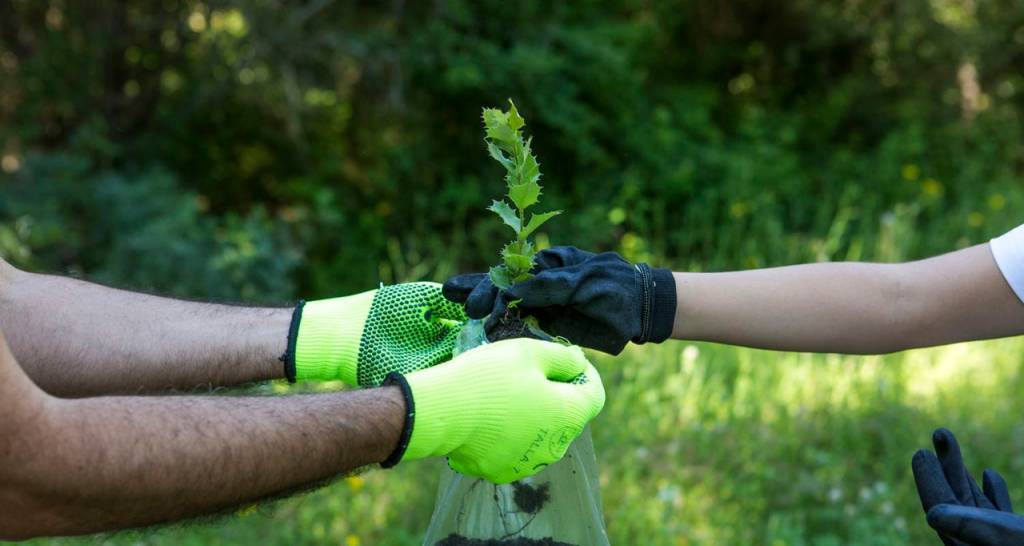 Two people wearing gardening gloves put a plant into a bag of soil