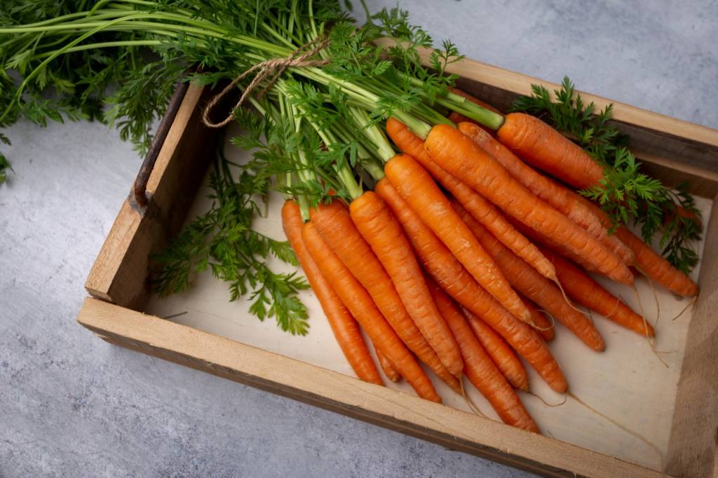 carrots, an ecological product