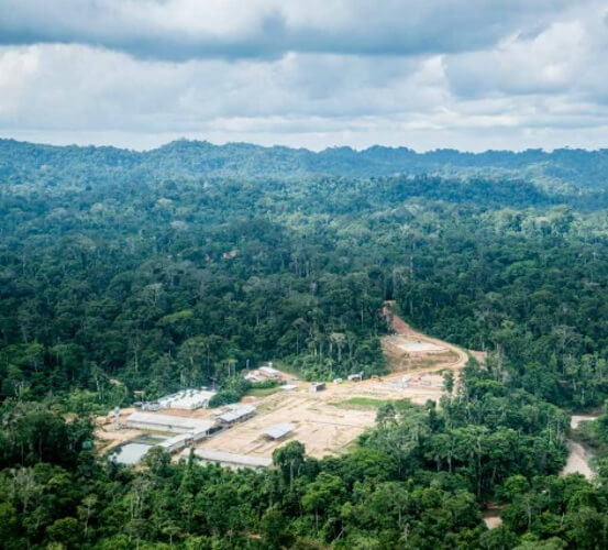 Aerial shot of Block 57 surrounded by a forest
